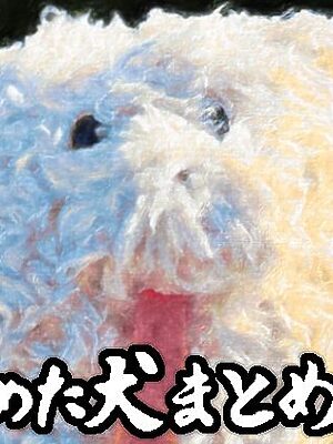 舐めた犬まとめ本【舐めた犬】